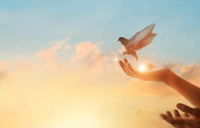 Hope For Reconciliation: Don’t Kill It, Transform It Instead