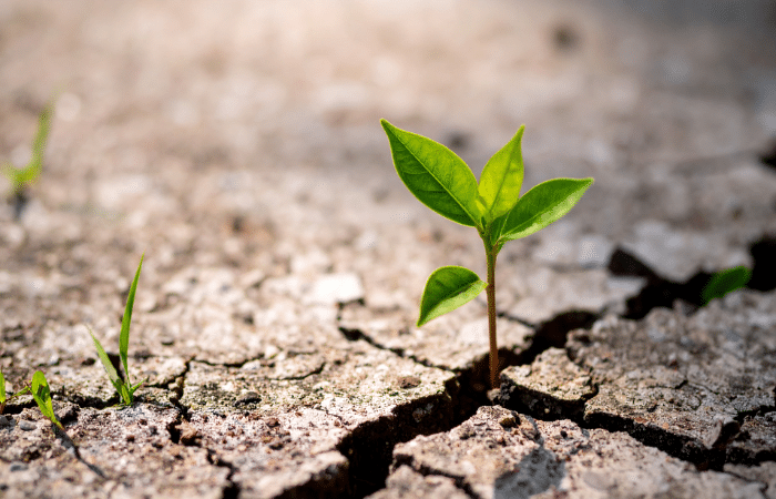 What If You Liked The Struggle?